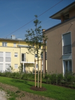 Stahlstraße Gebäude 2